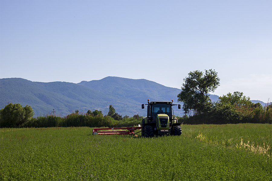 τρακτέρ στον κάμπο